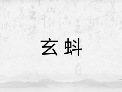 玄蚪