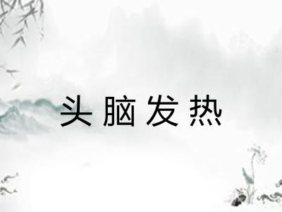 头脑发热