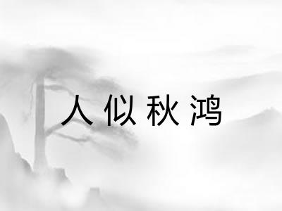 人似秋鸿