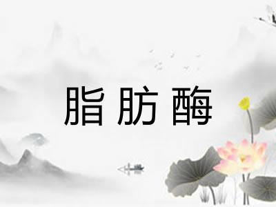 脂肪酶