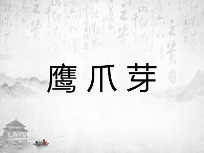 鹰爪芽