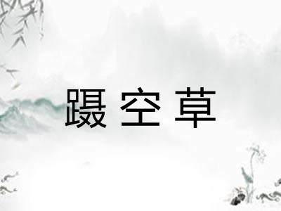 蹑空草