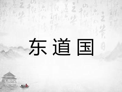 东道国