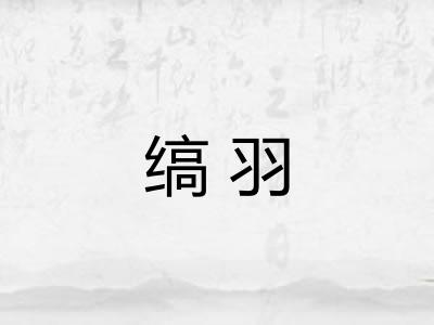 缟羽