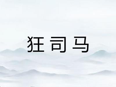 狂司马