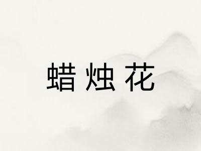 蜡烛花