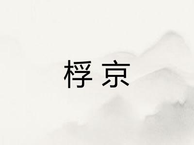 桴京
