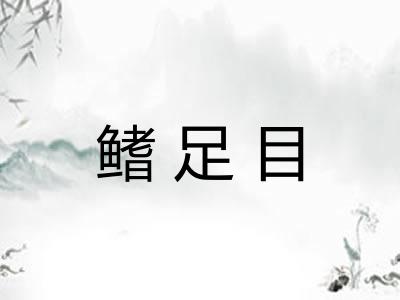 鳍足目