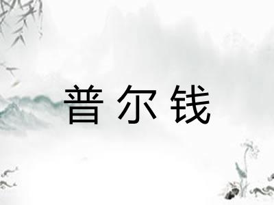 普尔钱