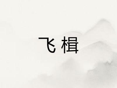 飞楫