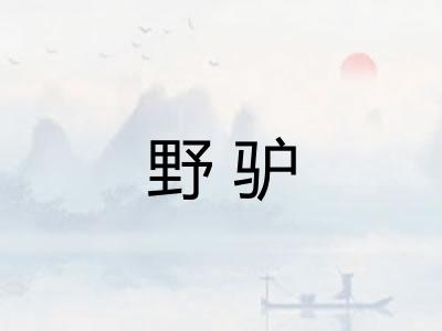 野驴