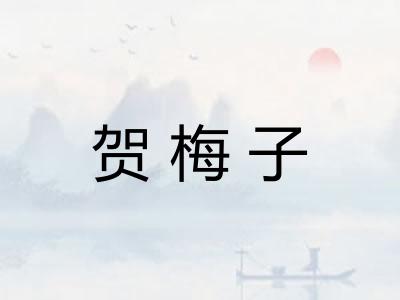 贺梅子