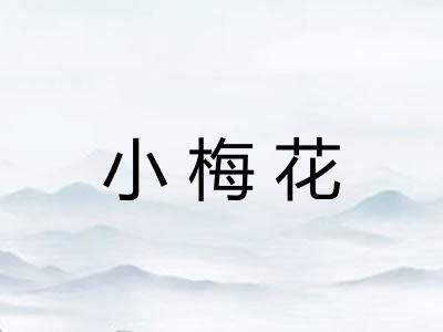 小梅花