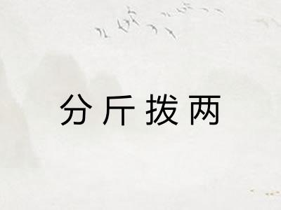 分斤拨两