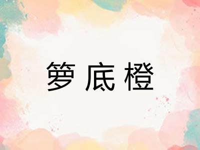 箩底橙