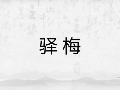 驿梅