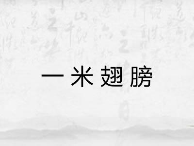 一米翅膀