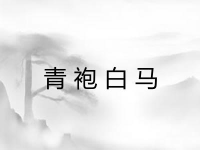 青袍白马