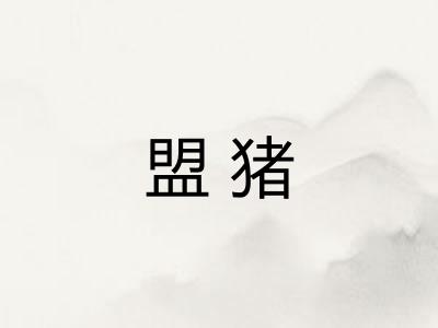 盟猪
