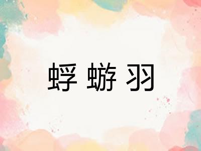 蜉蝣羽