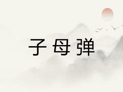 子母弹