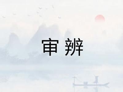 审辨