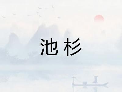 池杉