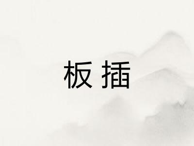 板插