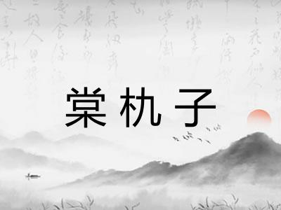 棠朹子