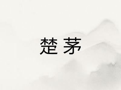 楚茅