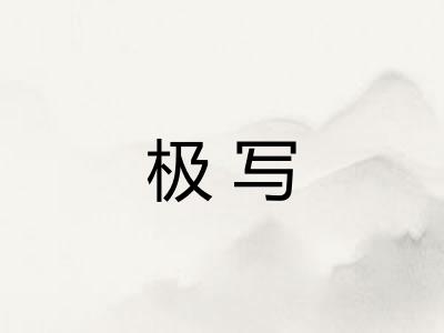 极写