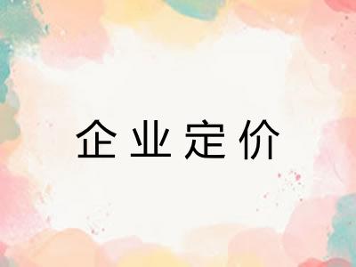 企业定价