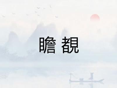 瞻覩