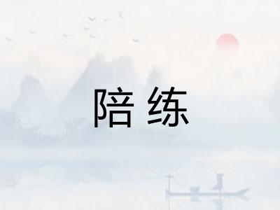 陪练