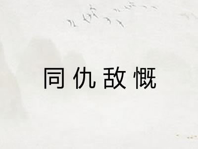 同仇敌慨