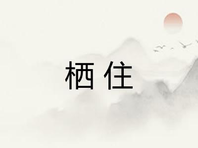 栖住