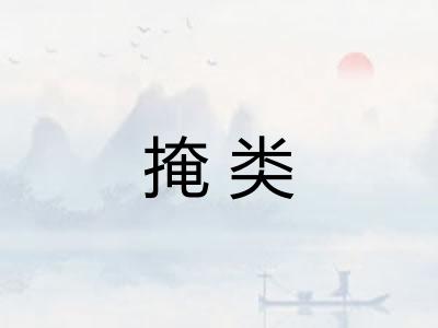 掩类