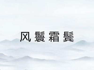 风鬟霜鬓