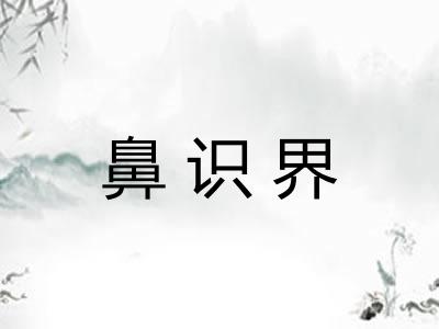 鼻识界