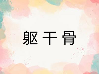 躯干骨