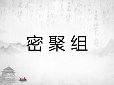 密聚组