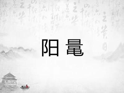 阳鼌