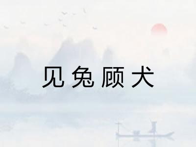 见兔顾犬