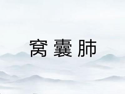 窝囊肺