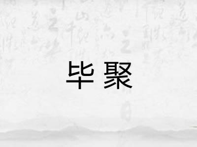 毕聚