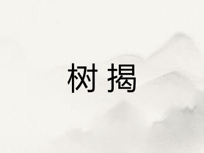 树揭