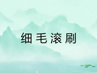 细毛滚刷