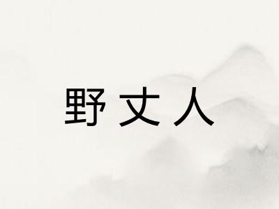 野丈人