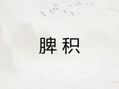 脾积