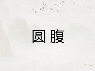 圆腹